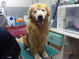 DSCN1130