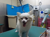 DSCN2915