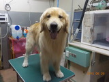 DSCN1079
