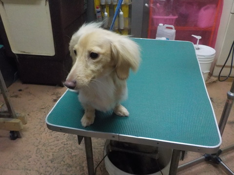 DSCN4662
