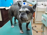 DSCN0863