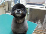 DSCN0956