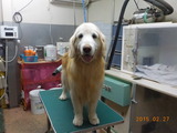 DSCN5698