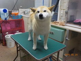 DSCN9520