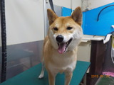 DSCN9574