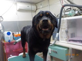 DSCN0820