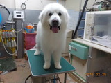 DSCN5669