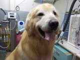DSCN0837