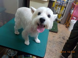 DSCN3739
