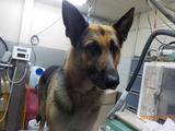DSCN1002
