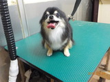DSCN2894