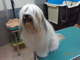 DSCN9465