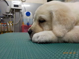 DSCN0849