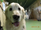DSCN4752