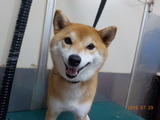 DSCN2901