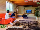 tv2