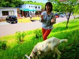 tv1