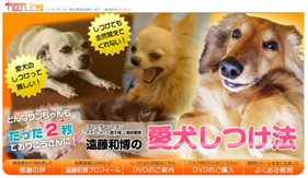 犬のしつけ遠藤01