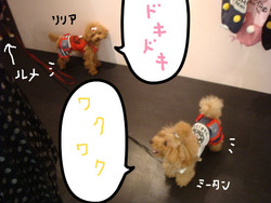 BlogPaint