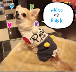 BlogPaint