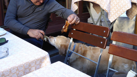 犬3