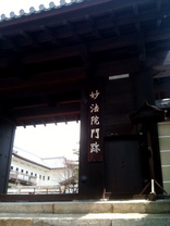写真(6)