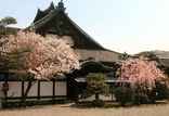 写真(5)