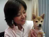 子犬のしつけコース - 高浪おまめ