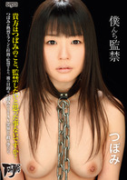 2DDT-380