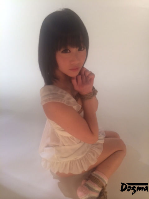 写真1