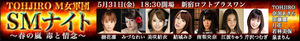 bnr_2013sm_night