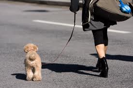 images (11)