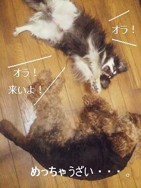 CYMERA_20150220_185524