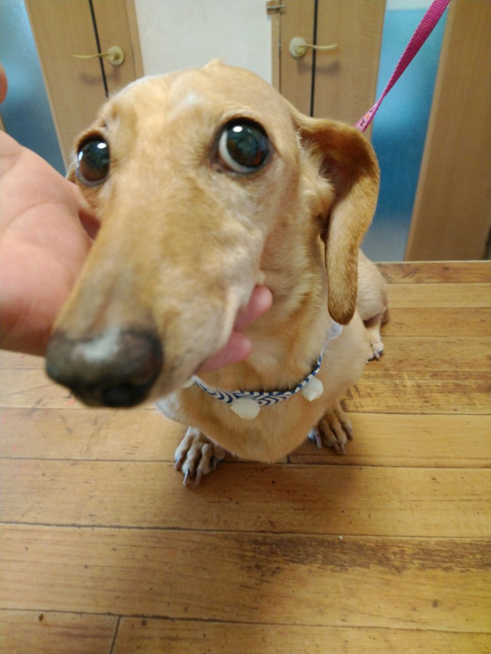 18-07-14-12-07-27-141_photo