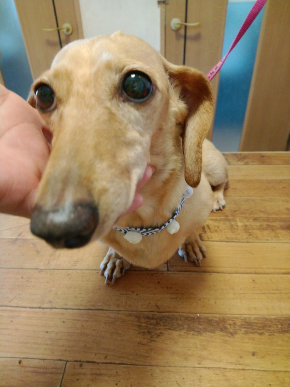 18-07-14-12-07-28-833_photo