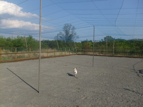 DSCF0979
