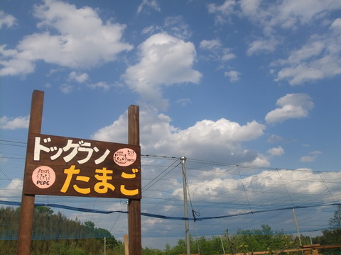 DSCF0990