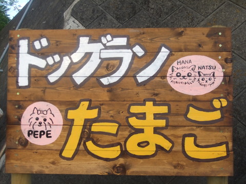 DSCF0993