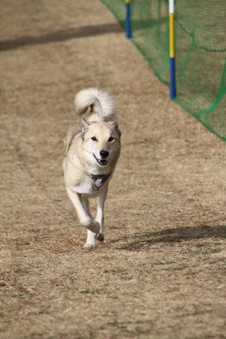 36-IMG_4877