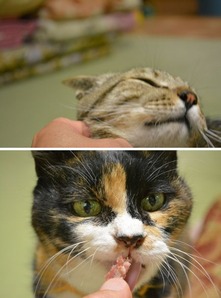 ともだち