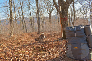 zoe and pack