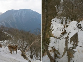 犬越路