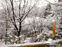 snow