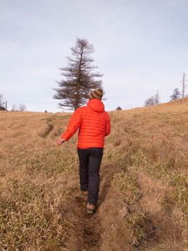 hiker