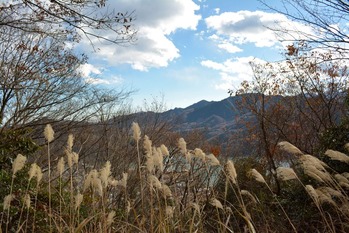 相模湖