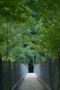 よくある吊り橋