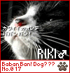 babanban riki
