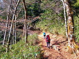 hiker