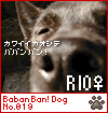 babanban rio