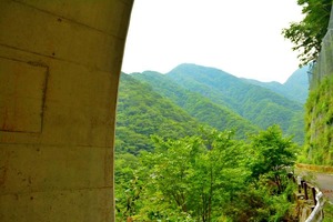 林道